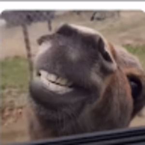 Meet your Posher, Ctucker430